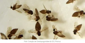 1777468731-whatsapp-image-2026-04-29-at-10-04-39